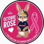 Ecusson thermocollant Octobre Rose Pompélo